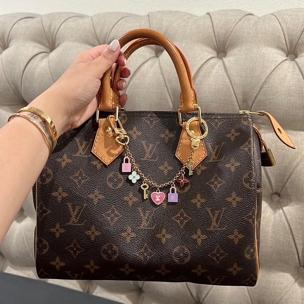 LV Louis Vuitton Monogram Speedy 25